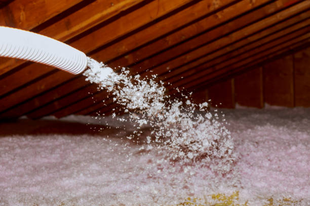 Best Insulation Maintenance and Repair in Bolindale, OH