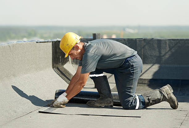 Best Insulation Installation Services in Bolindale, OH